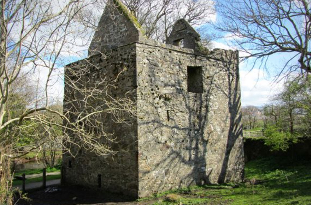 Monanimy Castle, Ireland